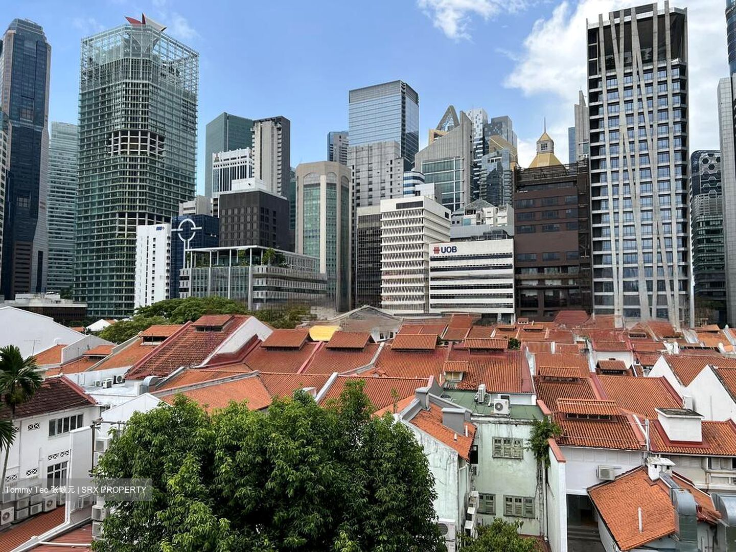 Telok Ayer Conservation Area (D1), Shop House #480149971